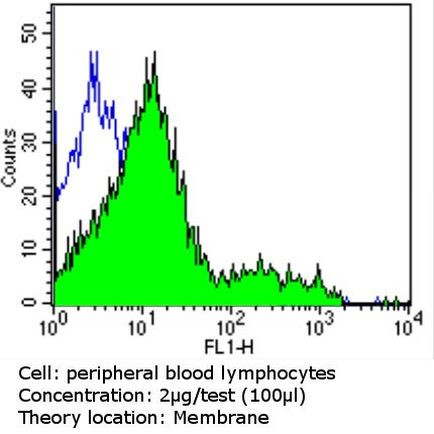 TCR V alpha 12.1 Antibody in Flow Cytometry (Flow)