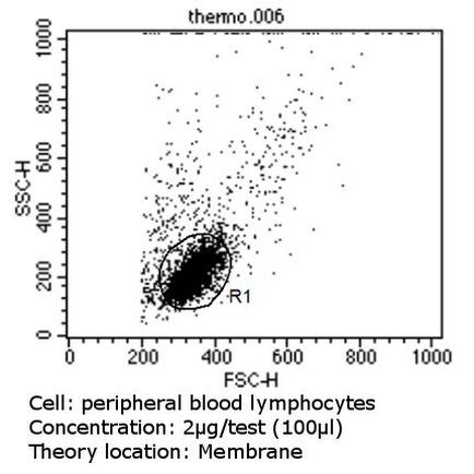 TCR V alpha 12.1 Antibody in Flow Cytometry (Flow)