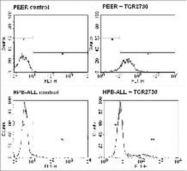 TCR V delta 1 Antibody