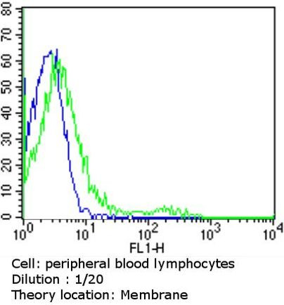 TCR V alpha 12.1 Antibody in Flow Cytometry (Flow)