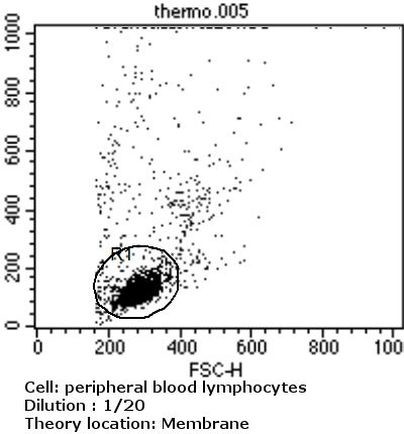 TCR V alpha 12.1 Antibody in Flow Cytometry (Flow)