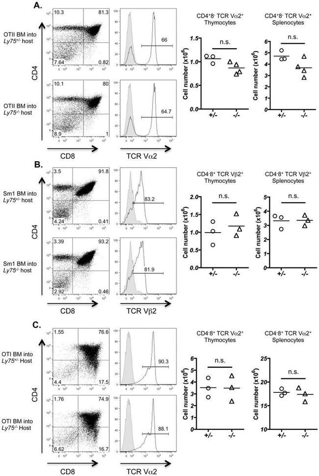 TCR V alpha 2 Antibody in Flow Cytometry (Flow)