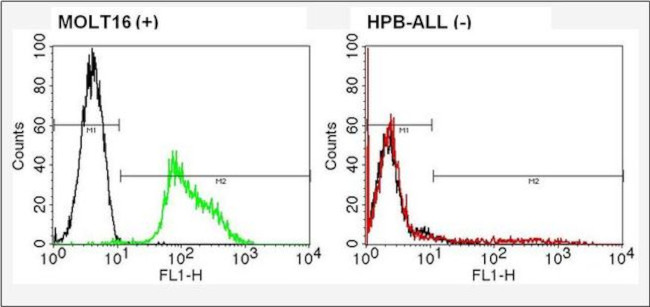 TCR V alpha 2 Antibody in Flow Cytometry (Flow)