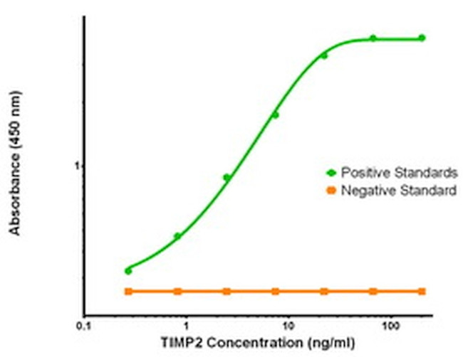 TIMP2 Antibody in ELISA (ELISA)