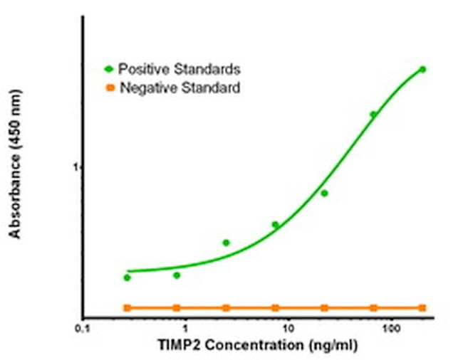 TIMP2 Antibody in ELISA (ELISA)