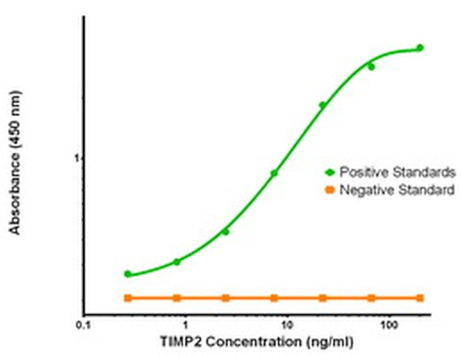 TIMP2 Antibody in ELISA (ELISA)