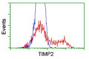 TIMP2 Antibody in Flow Cytometry (Flow)