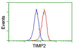 TIMP2 Antibody in Flow Cytometry (Flow)