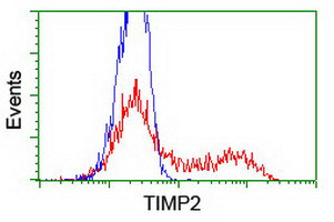 TIMP2 Antibody in Flow Cytometry (Flow)