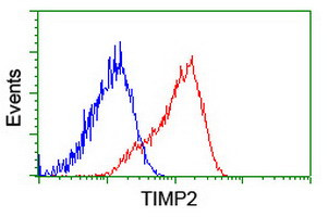 TIMP2 Antibody in Flow Cytometry (Flow)