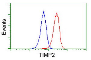 TIMP2 Antibody in Flow Cytometry (Flow)