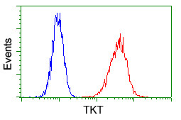 TKT Antibody in Flow Cytometry (Flow)