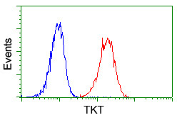 TKT Antibody in Flow Cytometry (Flow)