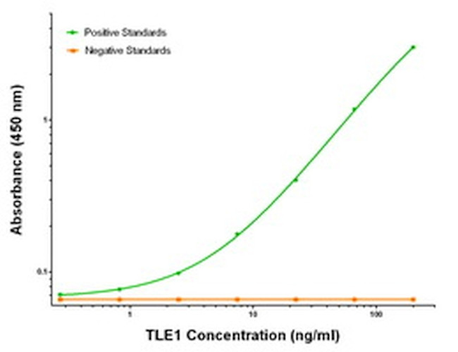 TLE1 Antibody in ELISA (ELISA)