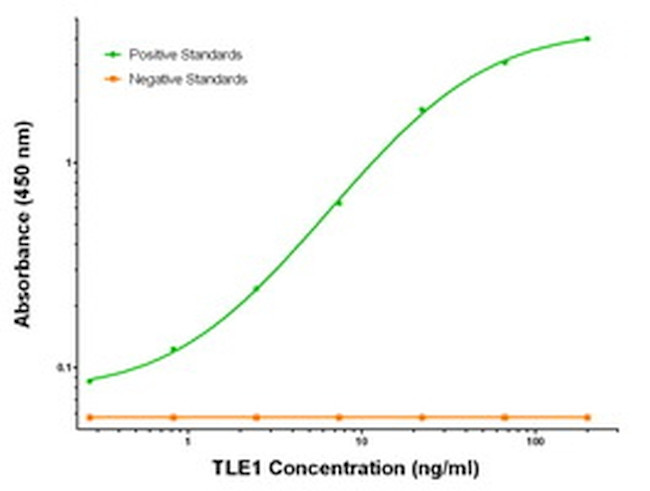 TLE1 Antibody in ELISA (ELISA)