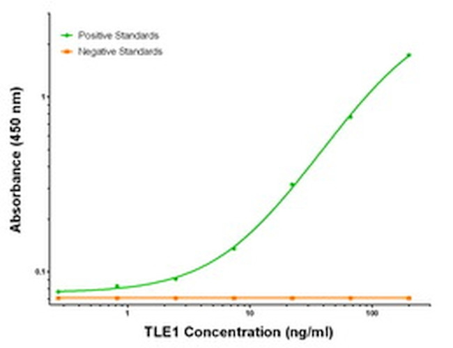 TLE1 Antibody in ELISA (ELISA)