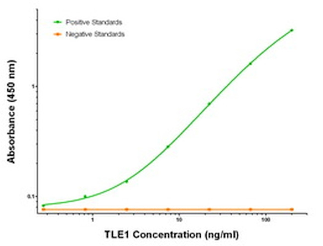 TLE1 Antibody in ELISA (ELISA)