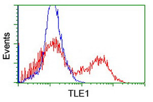 TLE1 Antibody in Flow Cytometry (Flow)