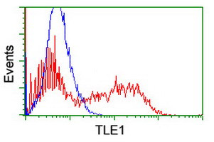 TLE1 Antibody in Flow Cytometry (Flow)