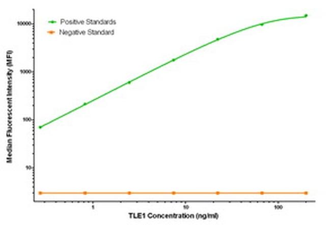 TLE1 Antibody in Luminex (LUM)