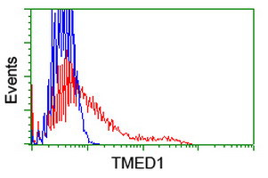 TMED1 Antibody in Flow Cytometry (Flow)