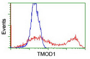 TMOD1 Antibody in Flow Cytometry (Flow)