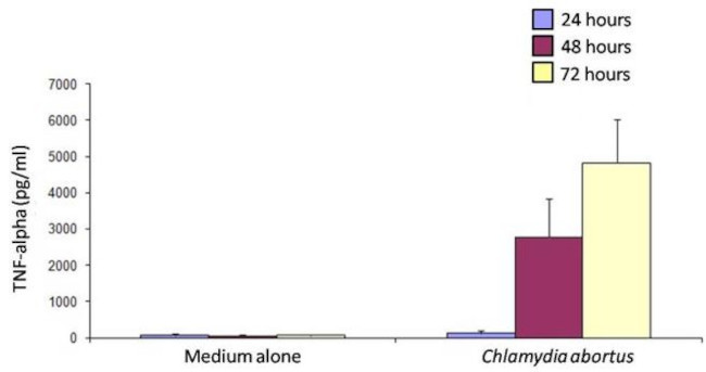 TNF alpha Antibody in ELISA (ELISA)