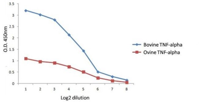 TNF alpha Antibody in ELISA (ELISA)