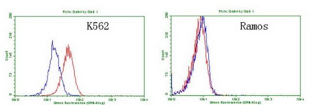 TNFRSF8 Antibody in Flow Cytometry (Flow)