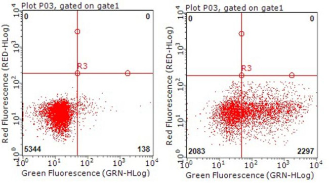 TNFRSF8 Antibody in Flow Cytometry (Flow)