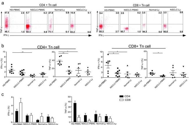 TNF alpha Antibody in Flow Cytometry (Flow)