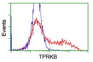 TPRKB Antibody in Flow Cytometry (Flow)