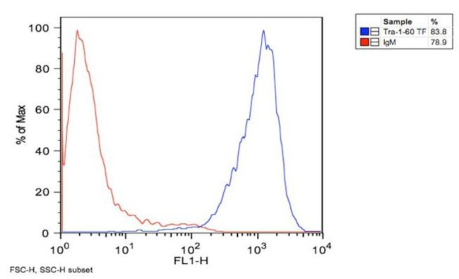 TRA-1-60 Antibody in Flow Cytometry (Flow)