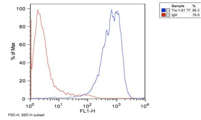 TRA-1-81 Antibody in Flow Cytometry (Flow)