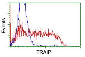 TRAIP Antibody in Flow Cytometry (Flow)