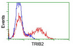 TRIB2 Antibody in Flow Cytometry (Flow)