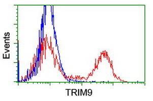 TRIM9 Antibody in Flow Cytometry (Flow)