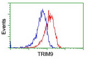 TRIM9 Antibody in Flow Cytometry (Flow)