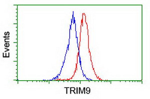 TRIM9 Antibody in Flow Cytometry (Flow)