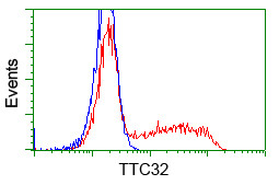 TTC32 Antibody in Flow Cytometry (Flow)