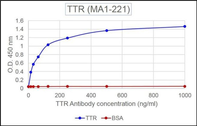 TTR Antibody in ELISA (ELISA)