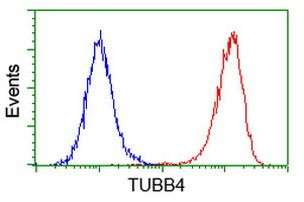 TUBB4 Antibody in Flow Cytometry (Flow)