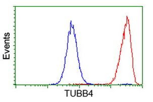 TUBB4 Antibody in Flow Cytometry (Flow)