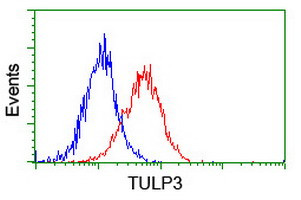 TULP3 Antibody in Flow Cytometry (Flow)