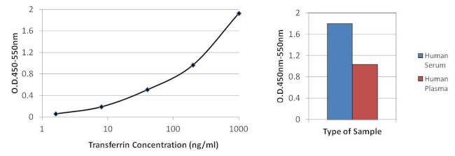 Transferrin Antibody in ELISA (ELISA)