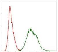 Ubiquitin B Antibody in Flow Cytometry (Flow)