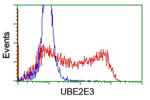 UBE2E3 Antibody in Flow Cytometry (Flow)