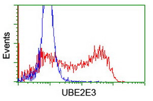 UBE2E3 Antibody in Flow Cytometry (Flow)