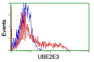 UBE2E3 Antibody in Flow Cytometry (Flow)