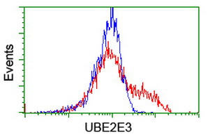 UBE2E3 Antibody in Flow Cytometry (Flow)